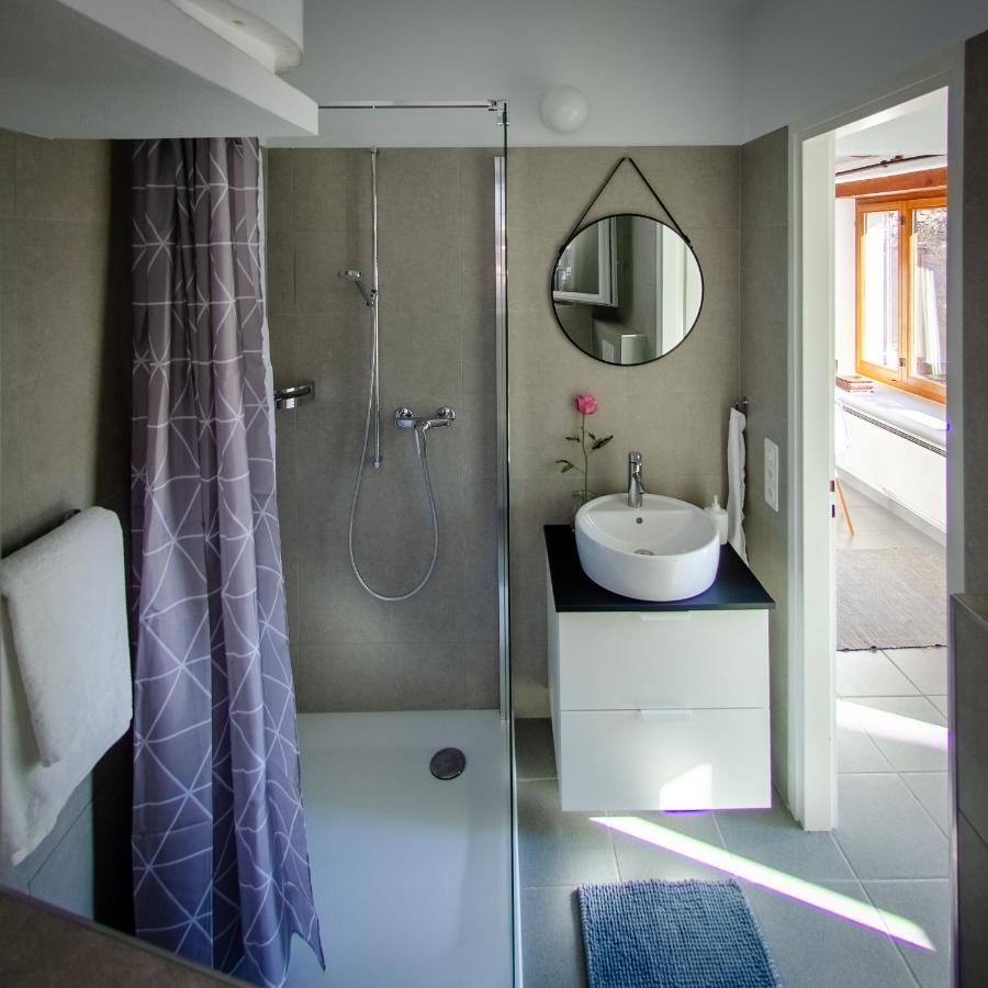 Rustico Al Sole - Just Renewed 1Bedroom Home In Ронсо-сопра-Аскон Екстер'єр фото